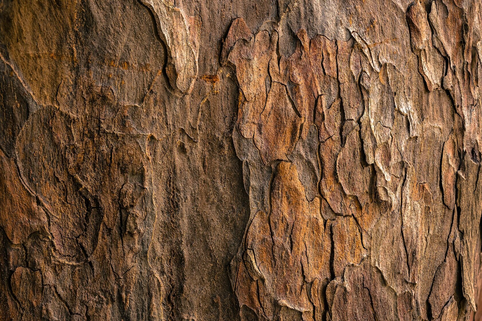 Painel decorativo em cortiça